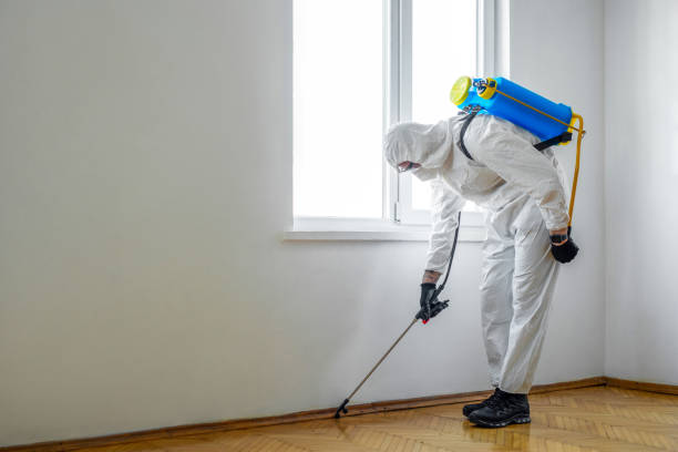 Best Pest Control Near Me  in Selma, NC